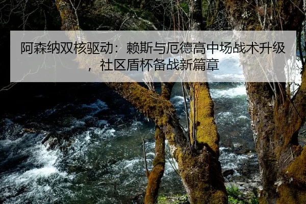 阿森纳双核驱动：赖斯与厄德高中场战术升级，社区盾杯备战新篇章