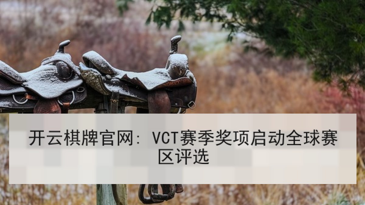 开云棋牌官网: VCT赛季奖项启动全球赛区评选