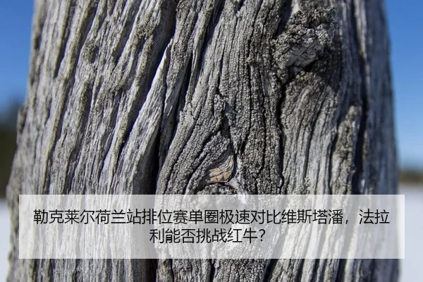lei-ke-lai-er-he-lan-zhan-pai-wei-sai-dan-quan-ji-su-dui-bi-wei-si-ta-pan-fa-la-li-neng-fou-tiao-zhan-hong-niu-2-721.jpg